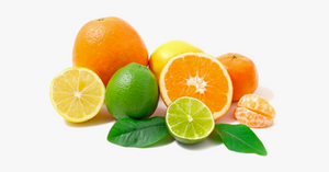 Citrus Bundle